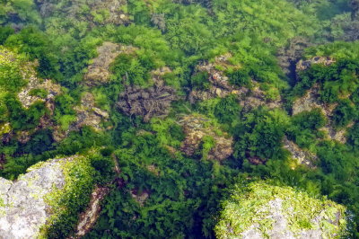 Tide pools near the ship