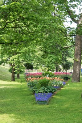 Peterhof Gardens