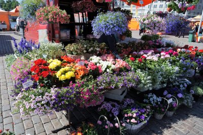 Kauppatori (Market Square & Market Hall)