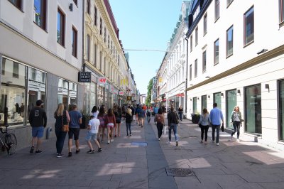 Haga, Gothenburg-Area
