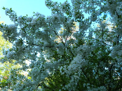 Another view