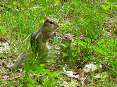 Mother and child.
