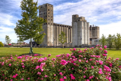 Buffalo's Grain and Storage Elevators