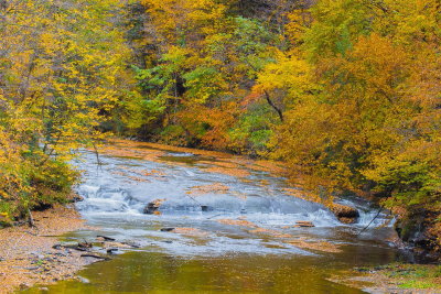 Buffalo Creek In Cowlesville