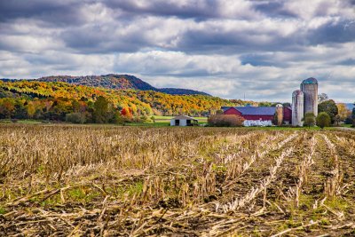 Maples Road Farm in Fall