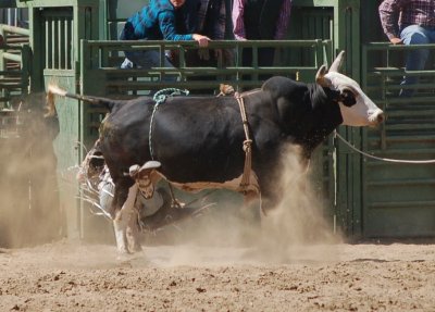DSC_7204 A.jpg