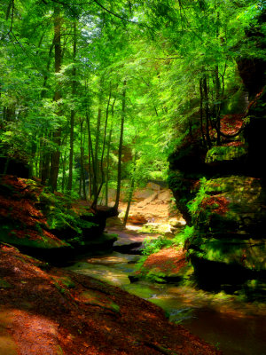 P1030762_edited 1.jpg