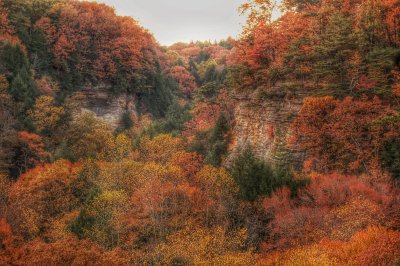 DSC_2237-01.jpeg