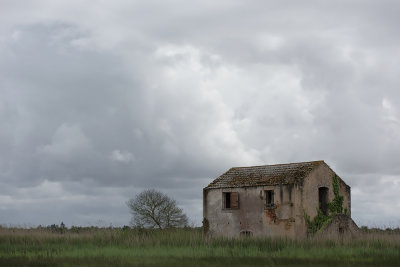 Baixo Vouga Lagunar
