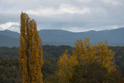 DSC_4962.jpg