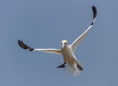 gaspe-2013-1947.jpg