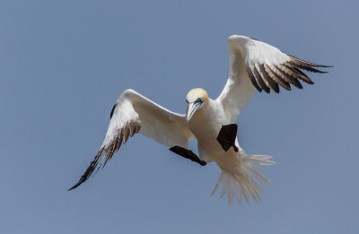 gaspe-2013-1948.jpg
