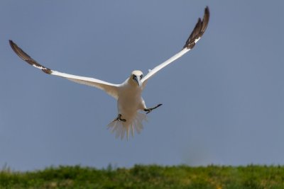 gaspe-2013-2020.jpg