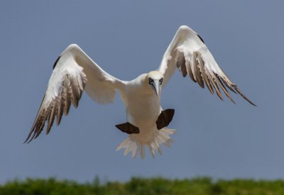 gaspe-2013-2021.jpg
