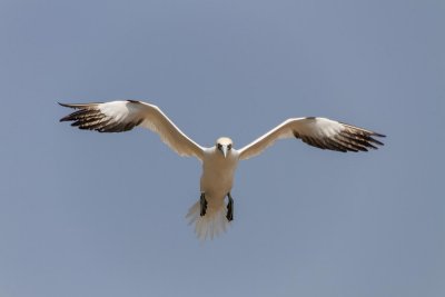 gaspe-2013-2062.jpg
