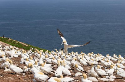 gaspe-2013-2070.jpg