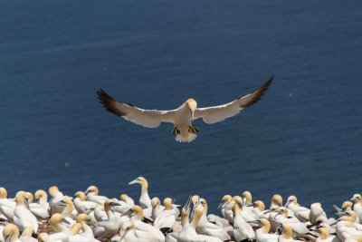 gaspe-2013-2077.jpg
