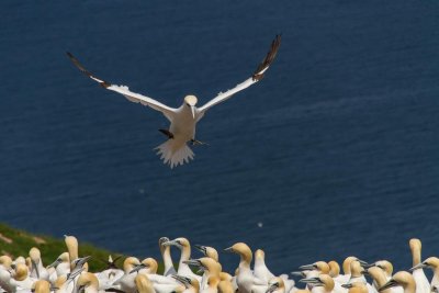 gaspe-2013-2202.jpg
