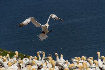 gaspe-2013-2203.jpg