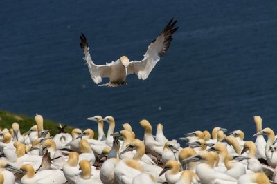 gaspe-2013-2204.jpg