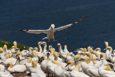 gaspe-2013-2205.jpg