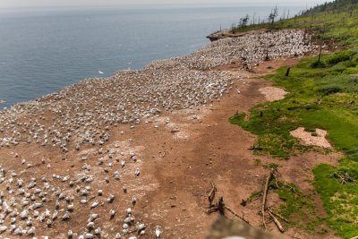 gaspe-2013-2216.jpg