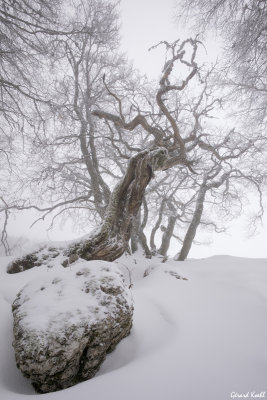 Le Vercors