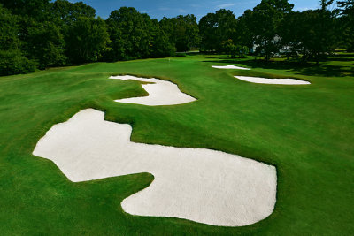 13 Green.jpg