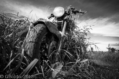 La vieille moto_The old motorcycle