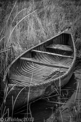 Vieux canoe_Old canoe