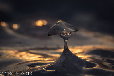 Champignon de glace_Ice mushroom