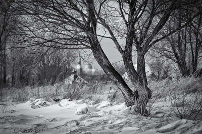 Bord du fleuve l'hiver_River side in winter