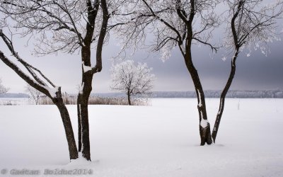 Jour de frimas_Day of frost