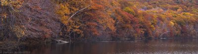 Lac des Bouleaux en couleur automnale_Lake side in fall colors