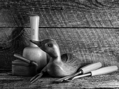 Nature morte_Canard NB