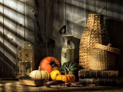 Nature Morte courges