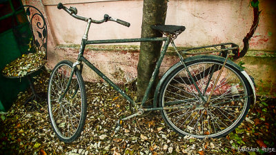 I wanna ride my bicycle...