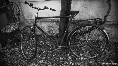 I wanna ride my bicycle...