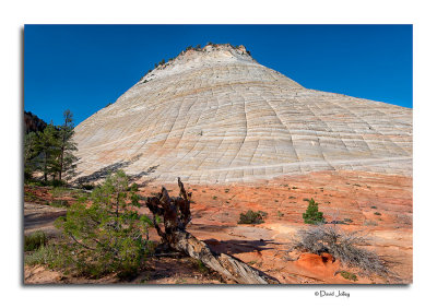 Checkerboard Mesa