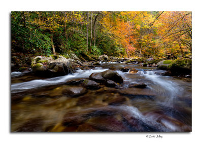 Great Smoky Mountains National Park Autumn, 2013