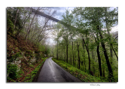 Beneath the New River Gorge Bridge