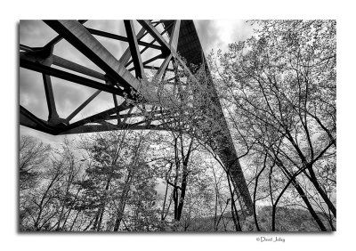 Beneath the New River Gorge Bridge