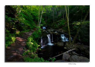 Ricketts Glen State Park
