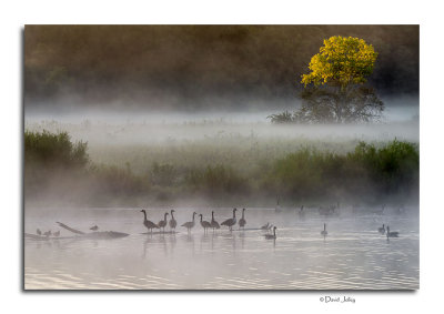 Dawn, Slate Run Pond