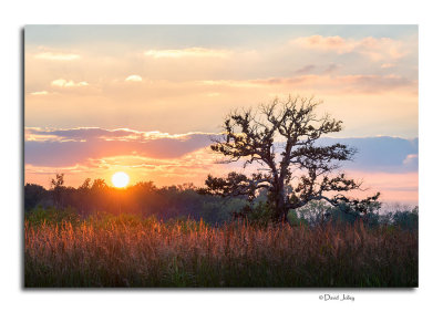 Sunset, Pickerington Ponds