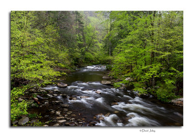 Great Smoky Mountains National Park Spring 2015
