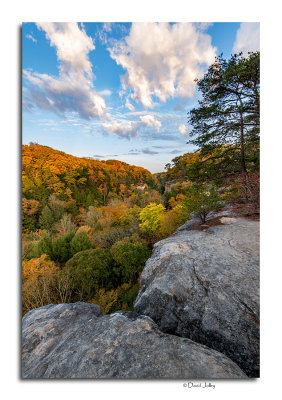 Conkles Hollow, Rim Trail