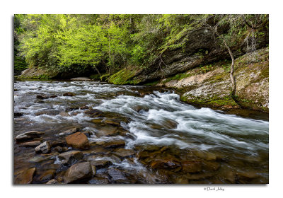 Little River Rapids