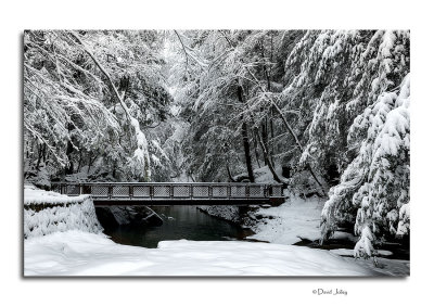 Bridge at Cedar Falls