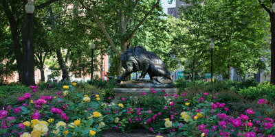 Rittenhouse Square Lion